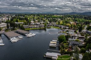 Bellevue Arial Shot