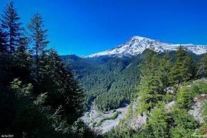 Mount Rainier Things to do in April